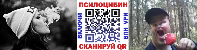 Купить  Коломна  Галлюциногенные грибы мухоморы